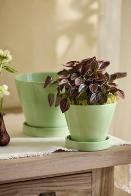 Classic Glazed Galestro Pot + Saucer Set