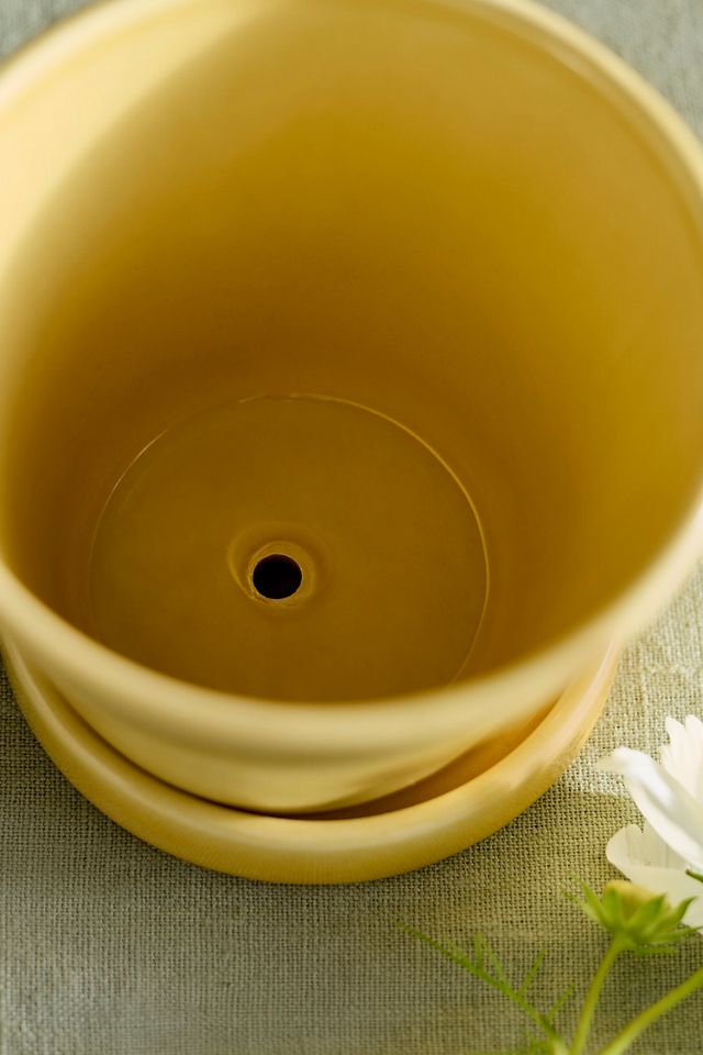 Classic Glazed Galestro Pot + Saucer Set #1