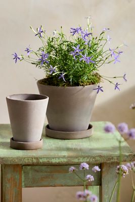 Classic Galestro Pot + Saucer Set