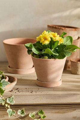 Classic Galestro Pot + Saucer Set