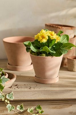 Classic Galestro Pot + Saucer Set