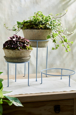 Metal Plant Stands | Terrain