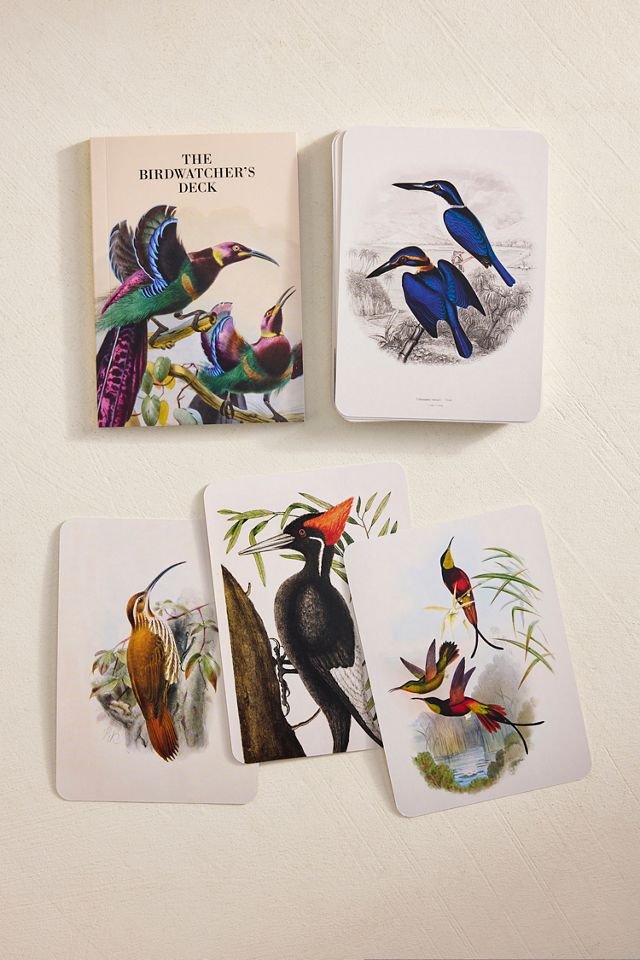 The Birdwatcher's Deck #1