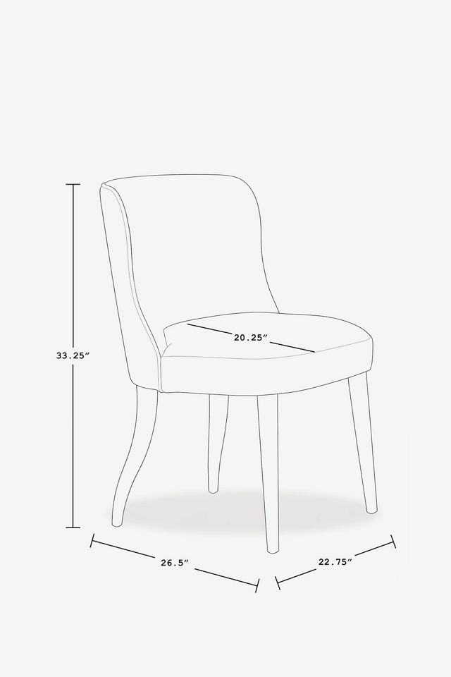 Meryl Valencia Velvet Dining Chair #6