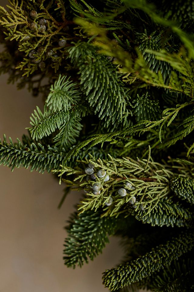 Terrain Fresh Evergreen Bell Wreath #1