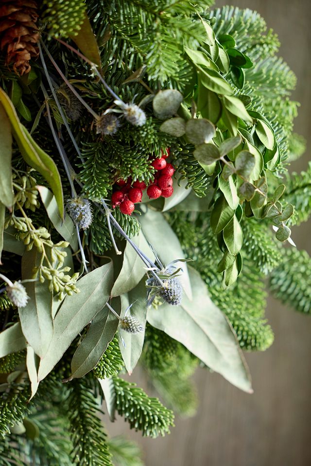 Terrain Fresh Evergreen + Sea Holly Wreath #1