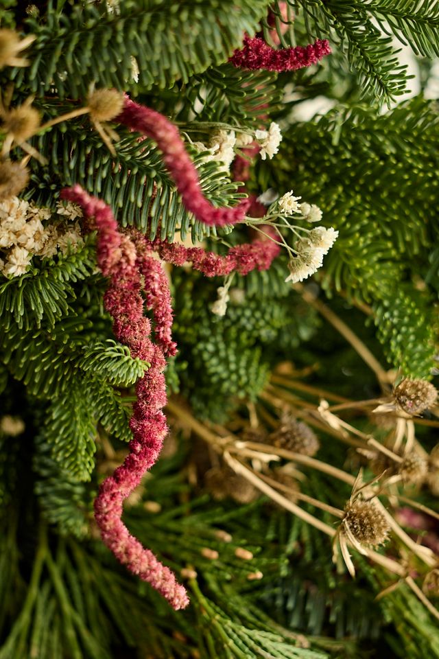 Terrain Fresh Amaranth + Evergreen Wreath #1