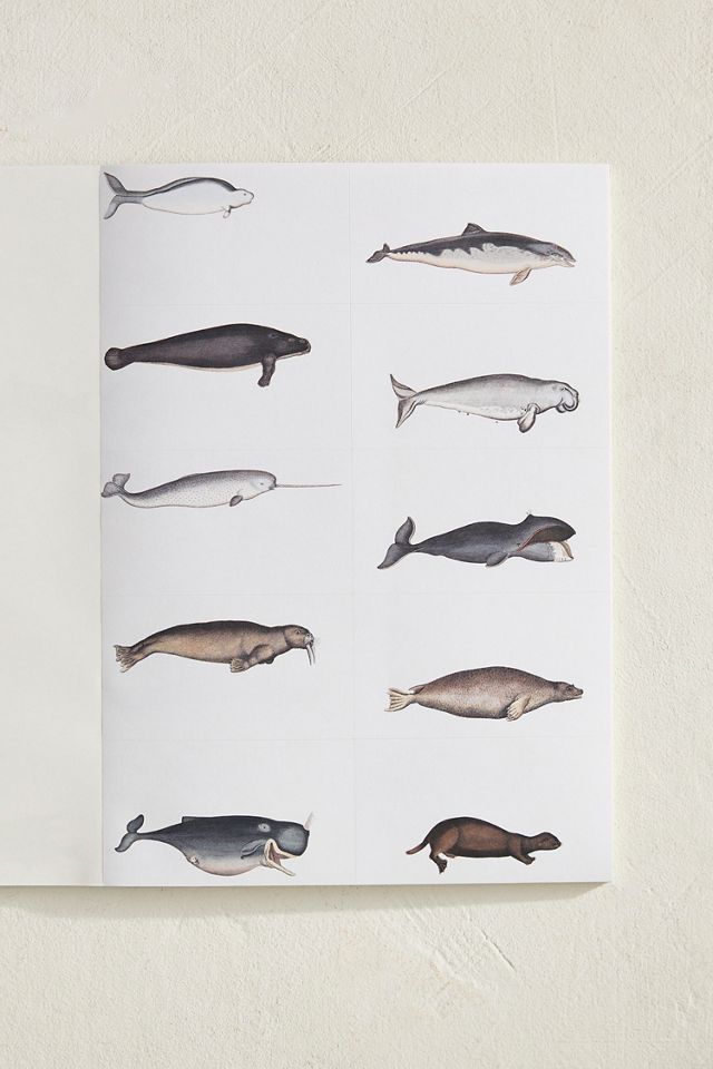 Marine Label + Sticker Book #2