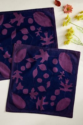 Sun Printing Kit, Set of 2 Napkins