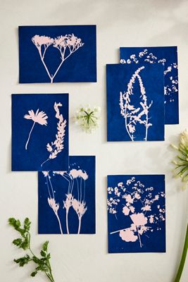 Sun Printing Kit, Small Pink Paper
