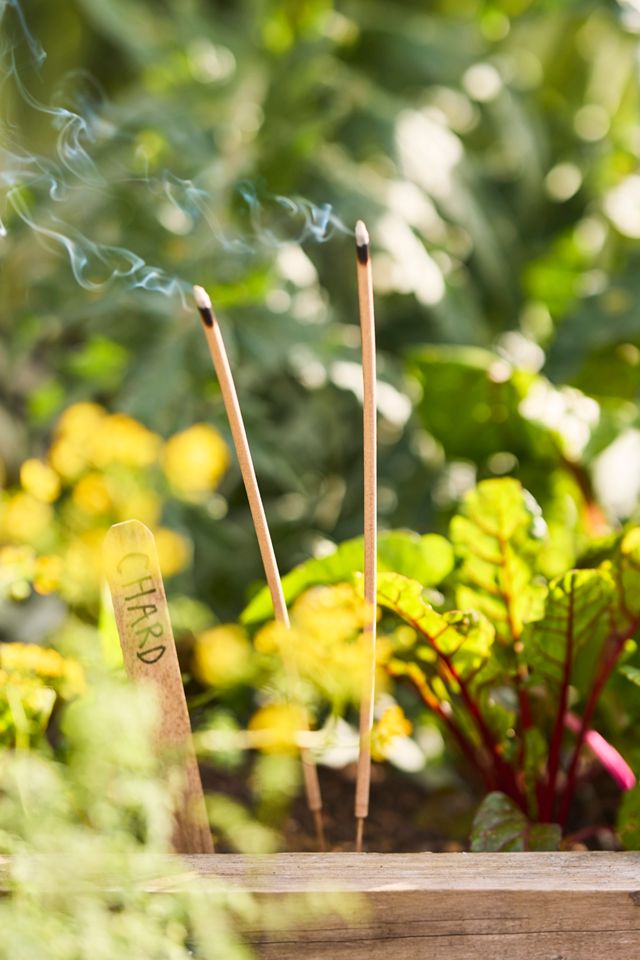 Guard’en Sticks Natural Insect Deterrent, Set of 28 #3