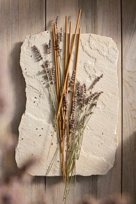 Guard’en Sticks Natural Insect Deterrent, Set of 28