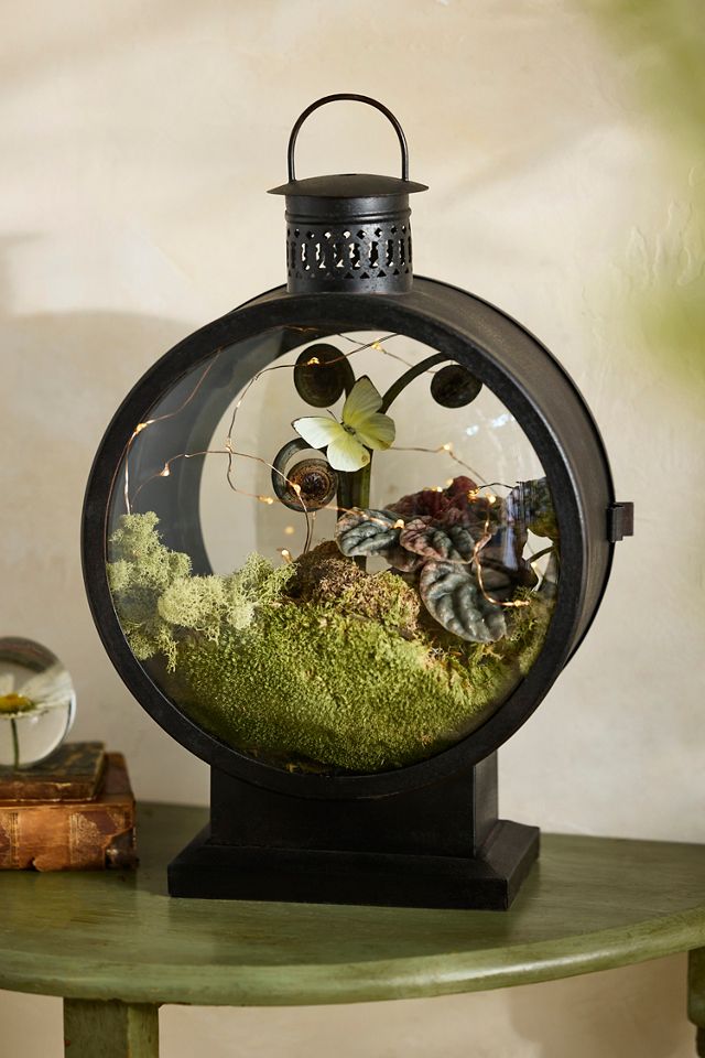 Convex Glass Lantern #1