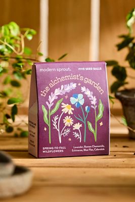 Creative Archetype Seed Balls, Set of 5