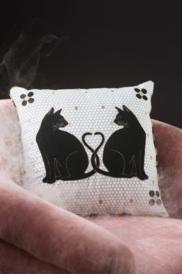 Agatha Embroidered Black Cat Indoor/Outdoor Pillow
