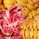 Yellow Pattern