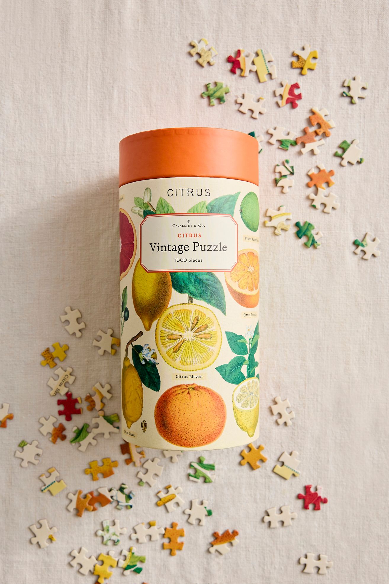 Citrus Puzzle - Multi, One Size