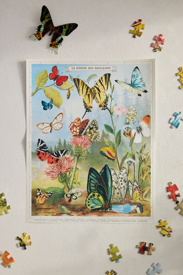 World of Butterflies Puzzle #1