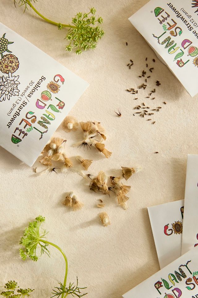 Dried Flower Garden Seeds, Set of 5 #1