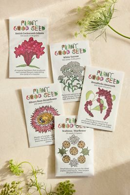 Dried Flower Garden Seeds, Set of 5