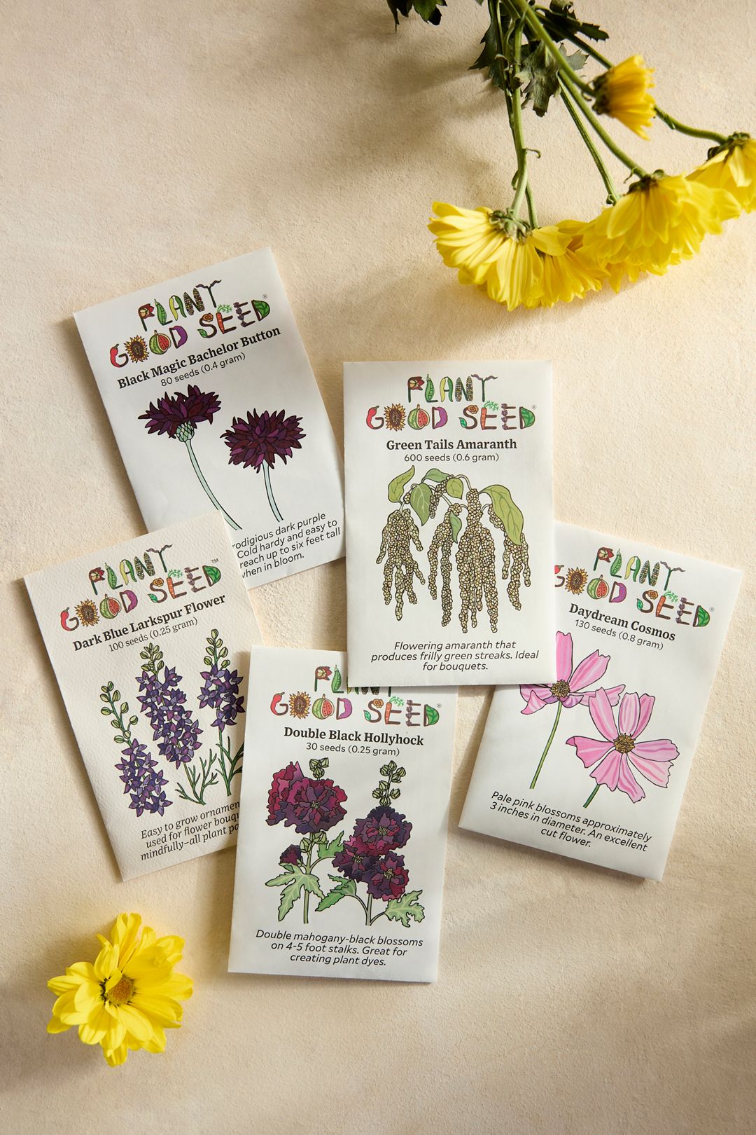 Cut Flower Garden Seeds, Set of 5 - PETAL PINK, Set Of 5