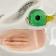 Mallard Duck