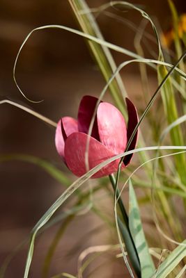 Pink Tulip Iron Stake