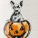 Jack-O-Lantern