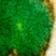 Green / Red