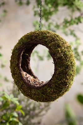 Moss Ring Bird Feeder