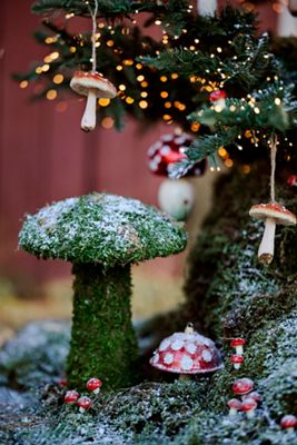 Preserved Moss Mushroom