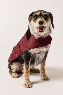 Barbour Quilted Dog Coat