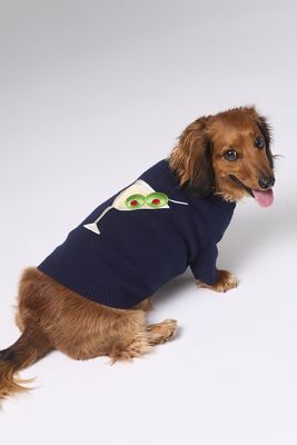 Martini Pet Sweater