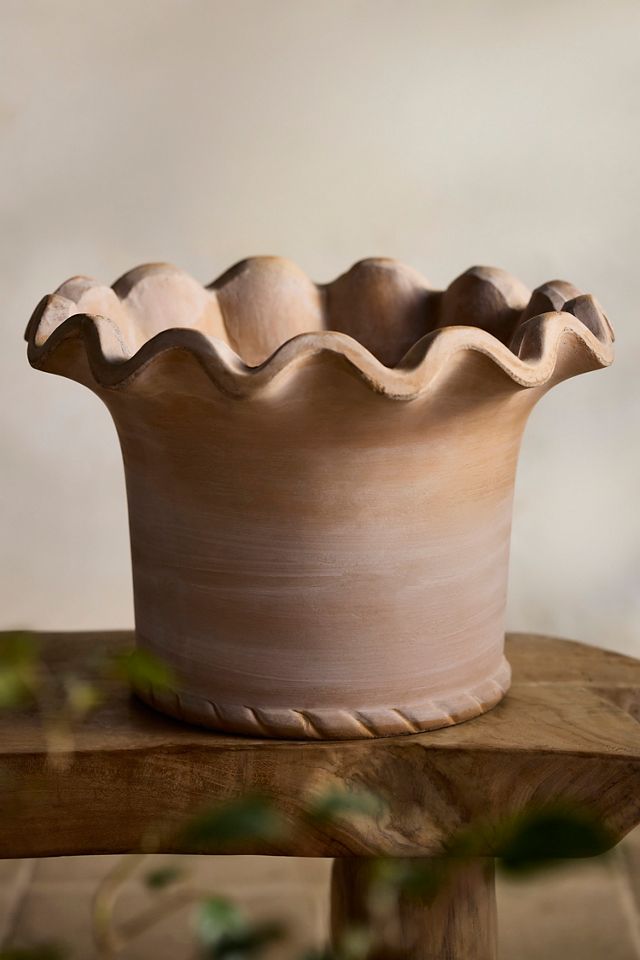 Concrete Pie Crust Planter #1