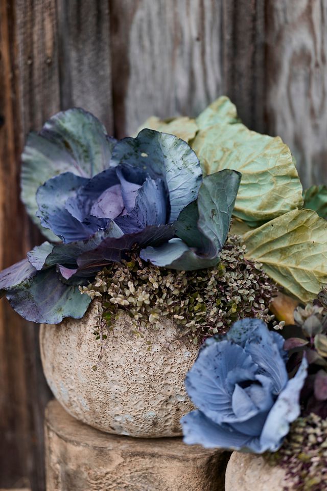 Barnacle Pumpkin Planter #1