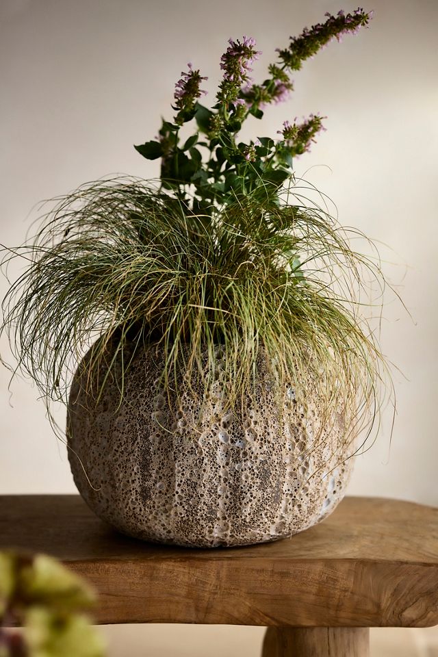 Barnacle Pumpkin Planter #1