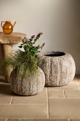 Barnacle Pumpkin Planter