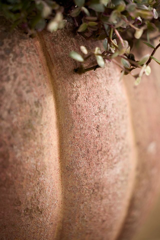 Canyon Orange Stoneware Pumpkin Planter #3