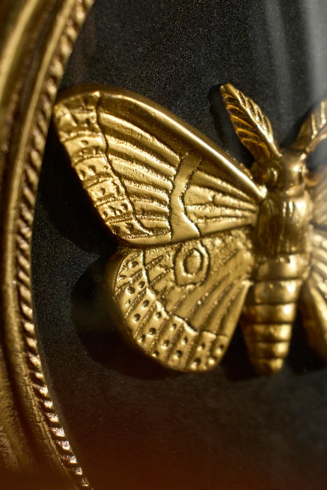 Golden Moth Shadow Box #2
