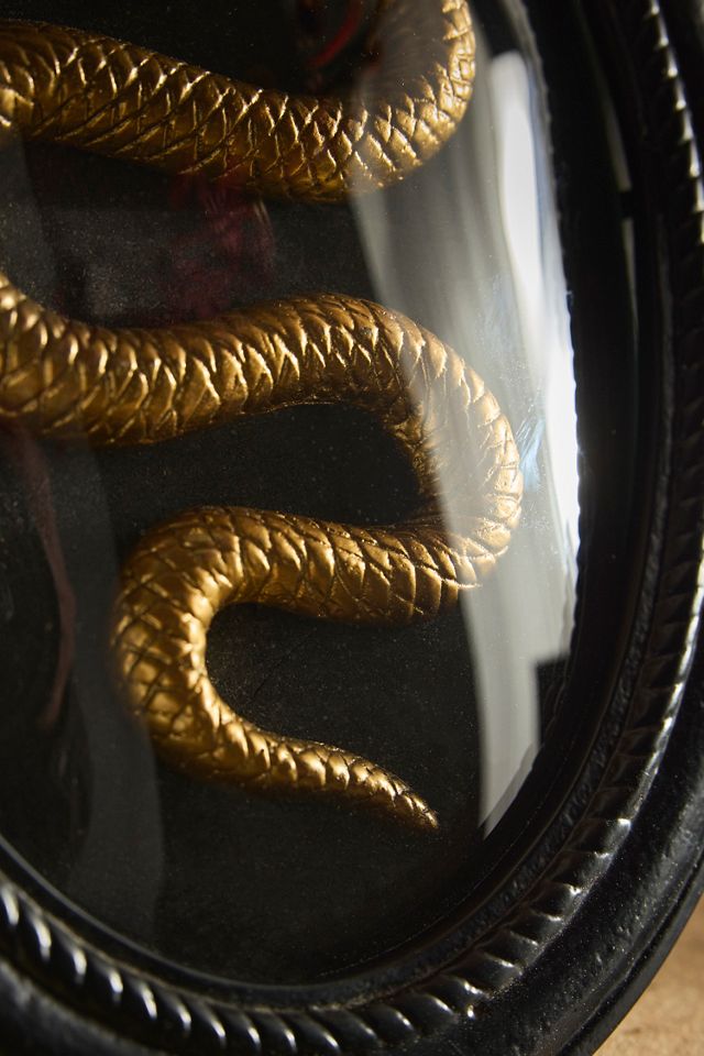 Framed Serpent Shadow Box #1