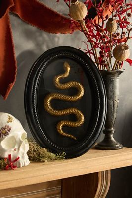 Framed Serpent Shadow Box