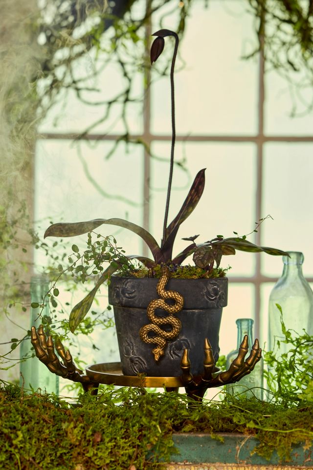 Spider Stoneware Pot #4