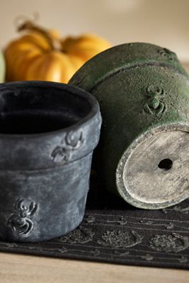 Terrain Spider Stoneware Pot
