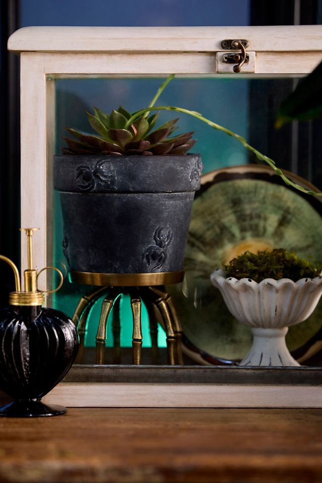 Spider Stoneware Pot | Anthropologie