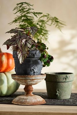 Spider Stoneware Pot
