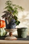 Spider Stoneware Pot