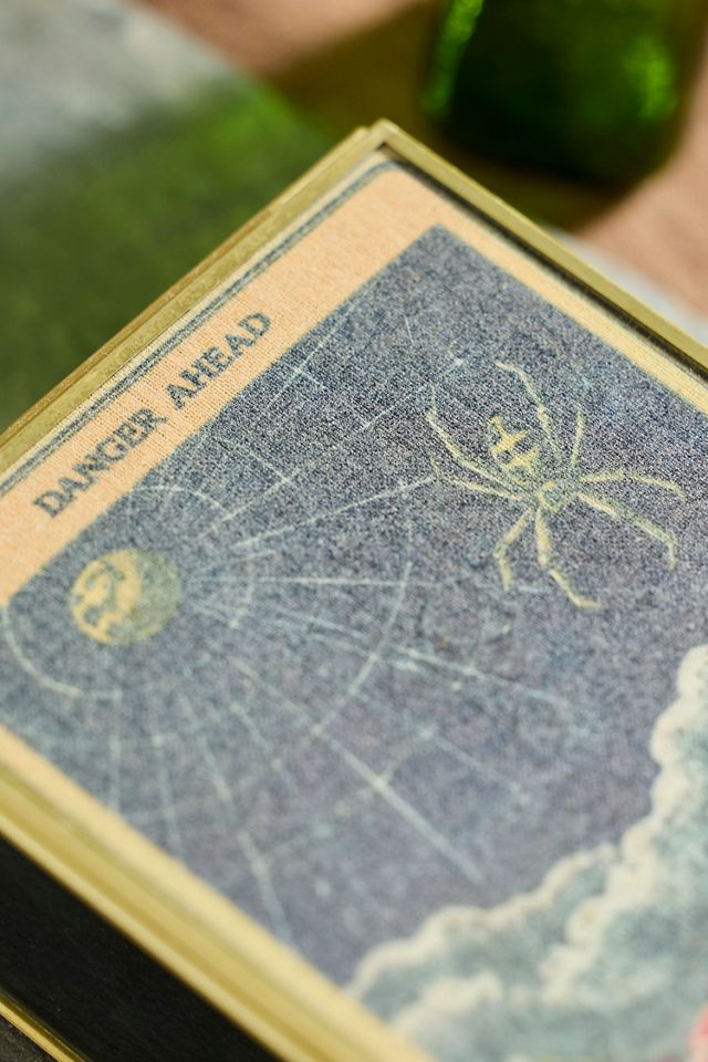Spider Web Divining Box #2