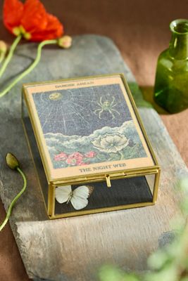 Spider Web Divining Box