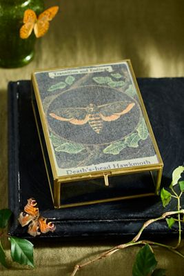 Moth Divining Box