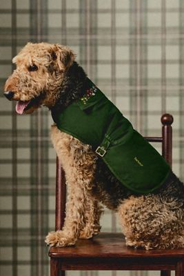 Barbour x Anthropologie Embroidered Collar Dog Coat